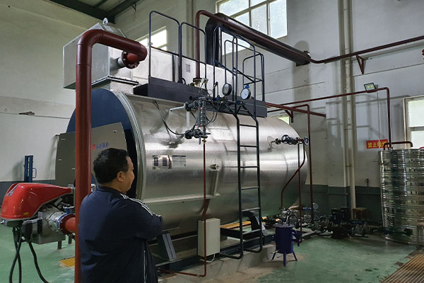 Best electric steam boiler price