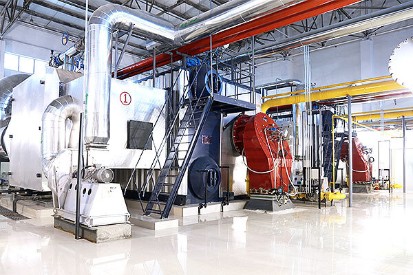4 ton gas steam boiler