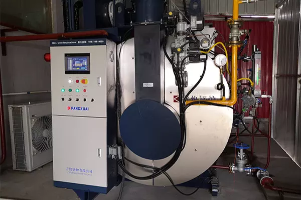 2-Ton Gas Steam Boiler Project for a Food Processing Plant