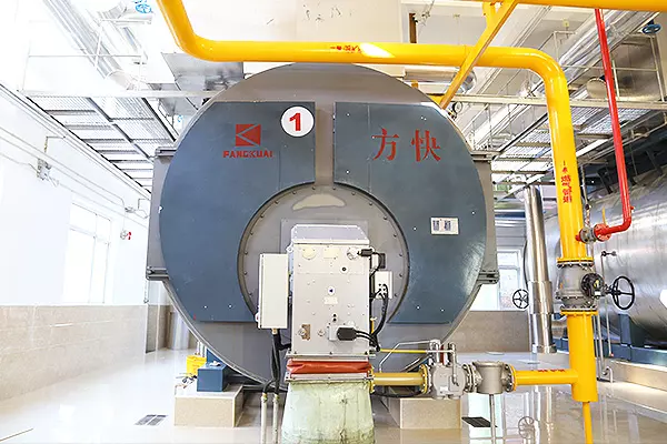 20-Ton Condensing Gas Steam Boiler Project for the Hospital