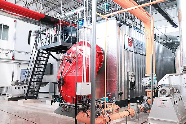 25-Ton Water Tube Steam Boiler Project for the Oilfield