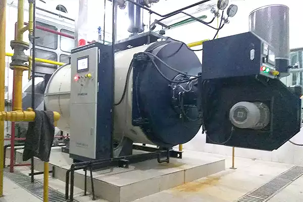 food company 10-ton gas steam boiler