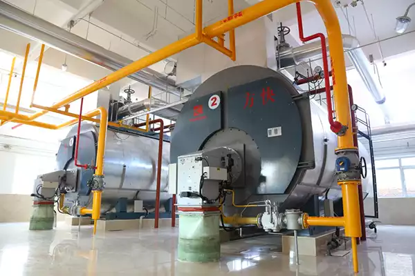 gas steam boiler